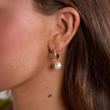 Load image into Gallery viewer, Gold Pearl Drop Earrings