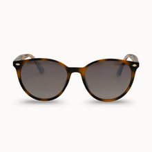 Load image into Gallery viewer, Dax Eyewear- Asher/Shell
