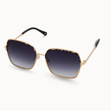 Load image into Gallery viewer, Dax Eyewear- Aspen
