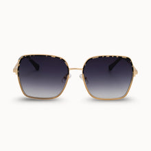 Load image into Gallery viewer, Dax Eyewear- Aspen

